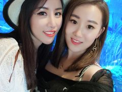 -迪拜帆船酒店海底餐厅