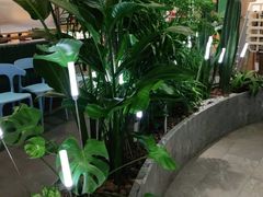 -润园四季椰子鸡火锅(南山海岸城店)