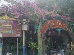 -独树成林