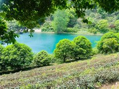 -九龙潭景区