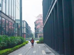 -万科前海企业公馆