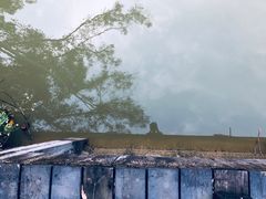 -水濂山森林公园