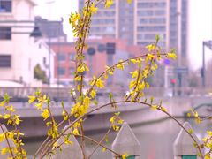 -圩墩遗址公园