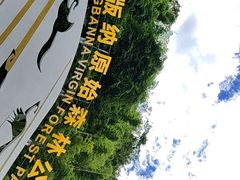 -西双版纳原始森林公园