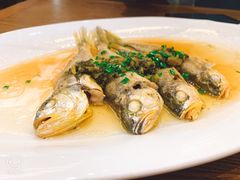 -梅林春晓花园餐厅
