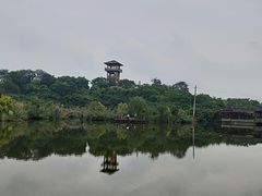 -张坝桂圆林公园