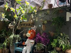-啰啰冰屋(景洪总店)