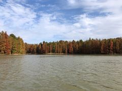 -上海海湾国家森林公园