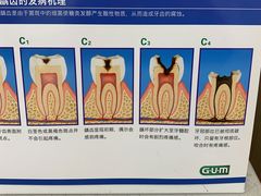 -泰康拜博口腔(松江印象城臻尔店)