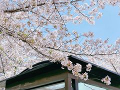 -上海辰山植物园