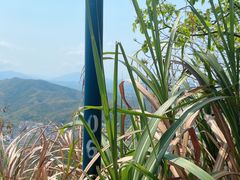 -梧桐山风景名胜区