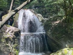 -牛背梁国家森林公园