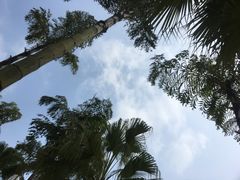 -重庆海昌加勒比海水世界