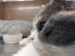 -北大资源博雅城
