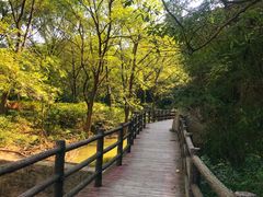 -木兰云雾山