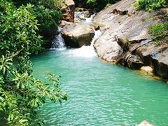 -广州白江湖森林公园