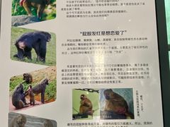 -太原动物园