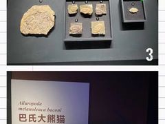 -重庆自然博物馆(新馆)