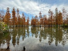 -白鹭湾湿地公园