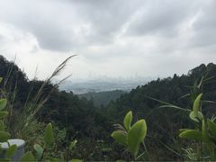 iphone_upload_pic-火炉山森林公园