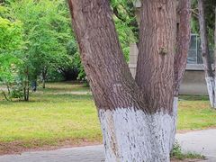 -东北大学(南湖校区)