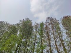 -万顷园艺世界