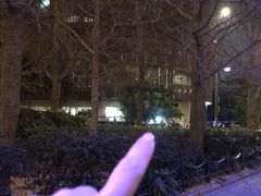 -新疆阿力烧烤