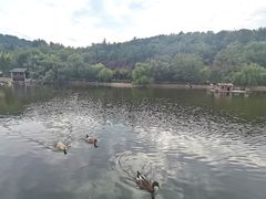 -北岭山森林公园