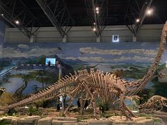 -自贡恐龙博物馆