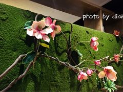 -张大师鸭爪爪特色干锅(钱塘江路店)