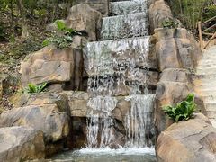 -广州市流溪河国家森林公园