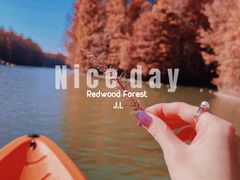 -上海海湾国家森林公园