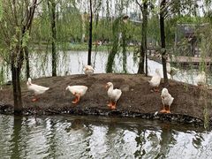 -杭州师范大学(下沙校区)
