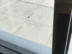 -醉得意·山茶油炒土鸡(泰安火车站大润发店)