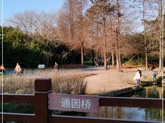 -上海滨江森林公园