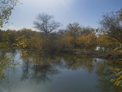 -金塔沙漠胡杨林景区