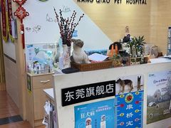 -千城康桥宠物医院·猫科·骨科·心脏