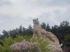 -帽儿山国家森林公园