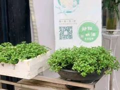 -你好独角兽·蛋糕甜品