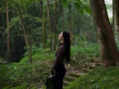 -峨眉山报国寺