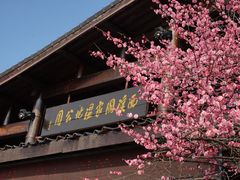 -西溪国家湿地公园