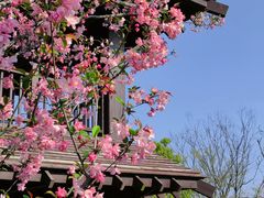 -柳鹭田园区