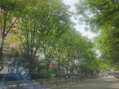 -百年义利(黄寺大街店)