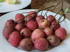 -福建鲤鱼洲酒店