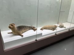 -国家自然博物馆