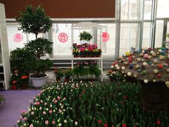 -北京植物园-展览温室