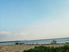 -合肥滨湖国家森林公园