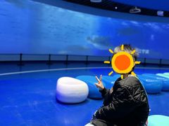 -广东惠东海龟国家级自然保护区