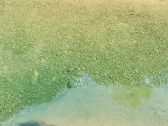 -龙湾潭国家森林公园