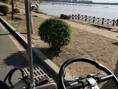 -丁香湖公园